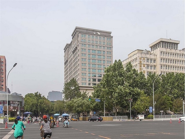 新阳光玫瑰葡萄苗木大量批发